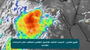 تغيير مفاجئ.. الأرصاد تكشف تفاصيل الطقس المتقلب خلال الساعات القادمة
